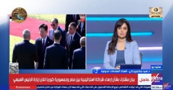 أستاذ علاقات دولية الشراكة الاستراتيجية بين مصر وكوريا تفتح مجالات تعاون جديدة