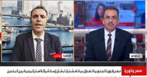 أستاذ علوم سياسية الشراكة الاستراتيجية بين مصر وكوريا الجنوبية تعزز التعاون