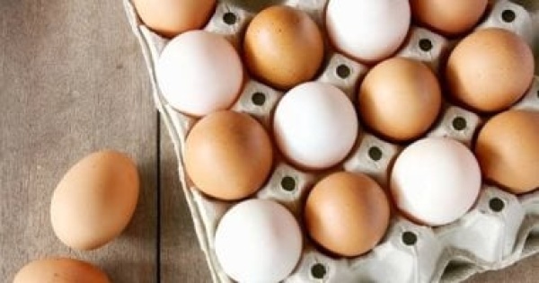 اليوم العالمى للبيض ما هى لعبة قذف البيض المسلوق المشهورة فى أوروبا اليوم العالمى للبيض ما هى لعبة قذف البيض المسلوق المشهورة فى أوروبا