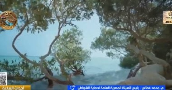 هيئة حماية الشواطئ تنفيذ 70 كيلومترا من الحواجز الصديقة للبيئة بالبحر المتوسط هيئة حماية الشواطئ تنفيذ 70 كيلومترا من الحواجز الصديقة للبيئة بالبحر المتوسط