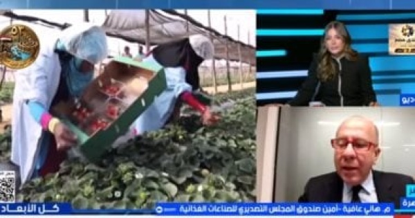 هاني عافية صادرات الصناعات الغذائية المصرية تنمو 11 خلال 8 أشهر هاني عافية صادرات الصناعات الغذائية المصرية تنمو 11 خلال 8 أشهر