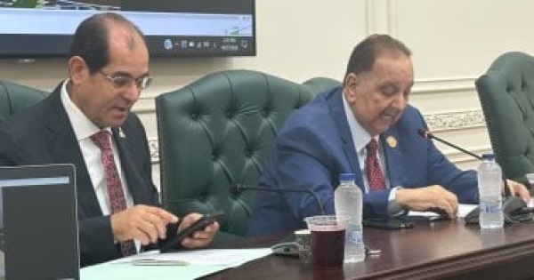 من الفصول الدراسية إلى الفضاء الرقمي برلماني يطرح رؤية لإنقاذ لغة الضاد