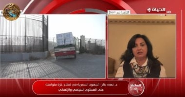 أستاذة علوم سياسية مصر تقود جهودا لدعم غزة وترفض تصفية القضية الفلسطينية