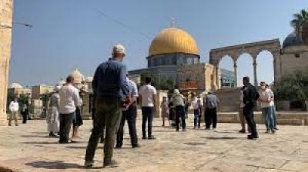 23 اقتحام صهيوني للمسجد الأقصى خلال شهر 23 اقتحام صهيوني للمسجد الأقصى خلال شهر