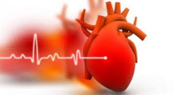 لصحة قلبك 5 أشياء لا تفعلها أبدا لصحة قلبك 5 أشياء لا تفعلها أبدا