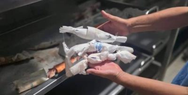 حرب تلتهم الأجيال غزة تواجه إبادة إنجابية