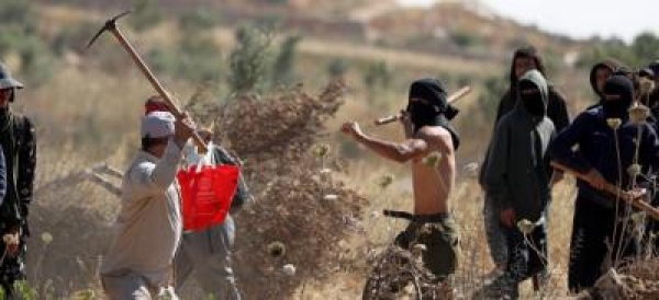 1666 انتهاكا إسرائيليا بحق التجمعات البدوية بالضفة 1666 انتهاكا إسرائيليا بحق التجمعات البدوية بالضفة