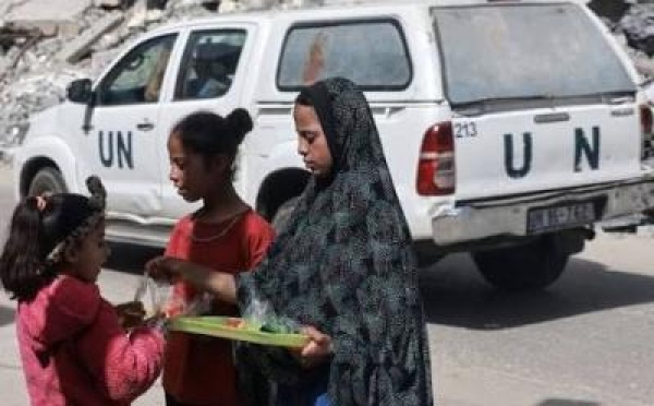منظمة مقتل 8 عمال إغاثة بغزة منذ بداية العام منظمة مقتل 8 عمال إغاثة بغزة منذ بداية العام