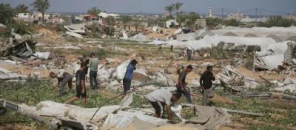 3 فقط من الأراضي الزراعية في غزة سليمة 3 فقط من الأراضي الزراعية في غزة سليمة