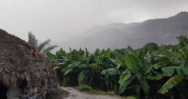 الأرصاد استمرار هطول الأمطار الرعدية على أجزاء من المرتفعات وسهل تهامة الأرصاد استمرار هطول الأمطار الرعدية على أجزاء من المرتفعات وسهل تهامة