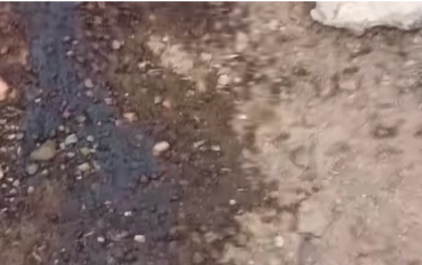 الضالع أكثر من 10 ضحايا من الأطفال جراء انفجار مقذوف من مخلفات الحرب الضالع أكثر من 10 ضحايا من الأطفال جراء انفجار مقذوف من مخلفات الحرب