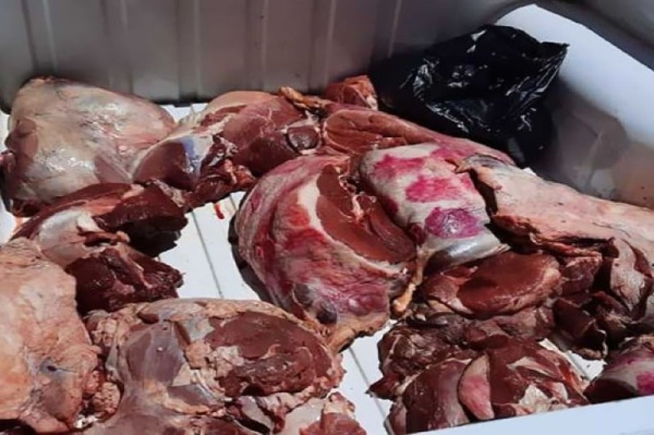 العرائش الدرك الملكي يحجز 1 2 طن من اللحوم الفاسدة متجهة نحو طنجة