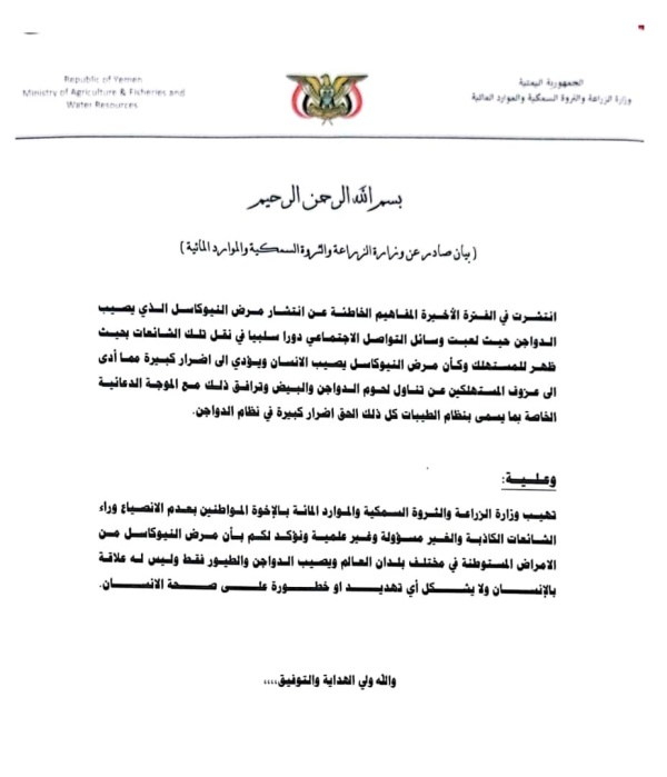 صنعاء دعت الموطنين الى عدم الانجرار وراء الشائعات المظللة وزارة الزراعة مرض النيوكاسل لا يمثل تهديد ا للصحة العامة صنعاء دعت الموطنين الى عدم الانجرار وراء الشائعات المظللة وزارة الزراعة مرض النيوكاسل لا يمثل تهديد ا للصحة العامة