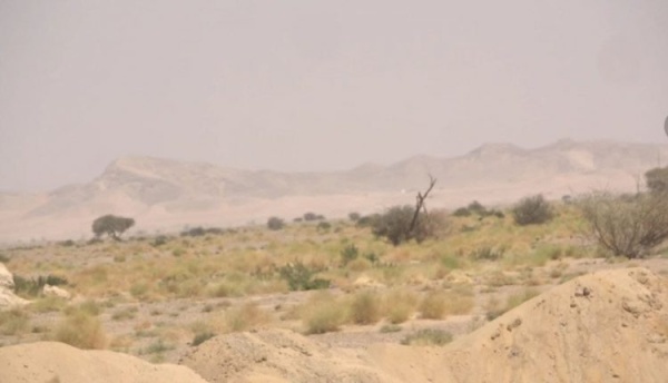 الدفاع تكشف سر اليتمة