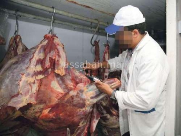 180 درهما للكيلوغرام أسعار اللحوم الحمراء تواصل الارتفاع