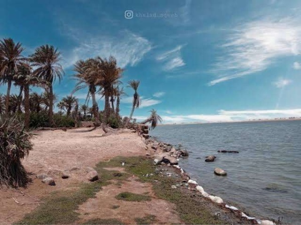 وفاة صياد يمني بعد إصابته بسمكة حادة أثناء رحلة صيد قبالة سواحل الخوخة