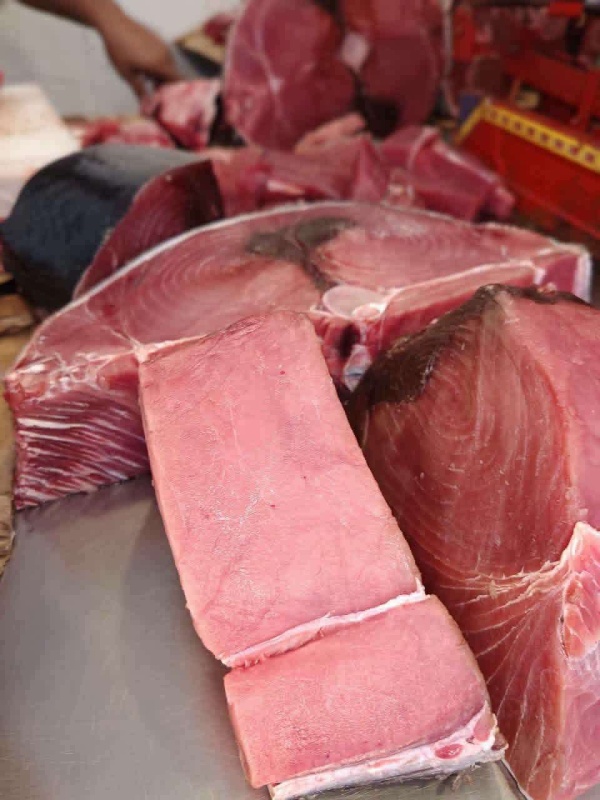 أسعار الأسماك واللحوم في عدن اليوم السبت ارتفاع يثقل كاهل المواطنين أسعار الأسماك واللحوم في عدن اليوم السبت ارتفاع يثقل كاهل المواطنين