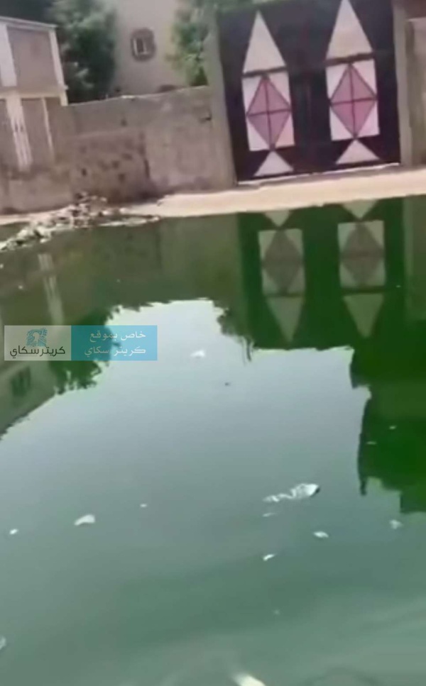 منذ أسبوعين سكان مدينة الشعب محاصرون وسط مياه الصرف الصحي منذ أسبوعين سكان مدينة الشعب محاصرون وسط مياه الصرف الصحي