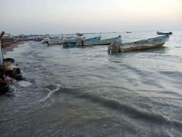 انفراجة للصيادين في الساحل الغربي رفع حظر الاصطياد اعتبار ا من اليوم انفراجة للصيادين في الساحل الغربي رفع حظر الاصطياد اعتبار ا من اليوم