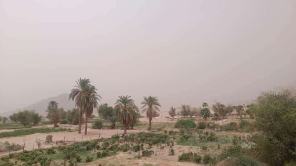 موجة غبار تضرب بيحان وأمطار متوقعة منتصف الأسبوع موجة غبار تضرب بيحان وأمطار متوقعة منتصف الأسبوع
