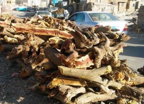 في عز الصيف أسر عدنية تعود إلى الحطب بعد اختفاء الغاز