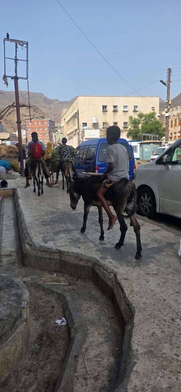 مواطنون بعدن يبحثون عن وسيلة مواصلات بديلة بسبب أزمة الغاز صورة