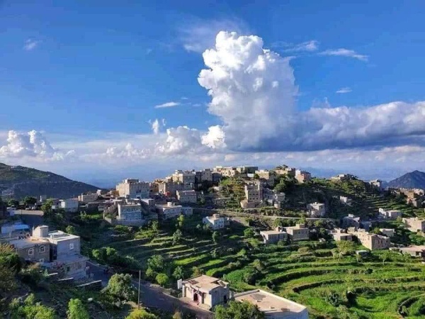 جريمة أسرية مروعة في حيفان بتعز جريمة أسرية مروعة في حيفان بتعز