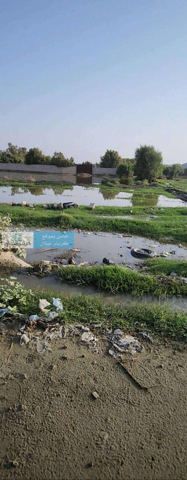 مستنقعات الصرف الصحي تهدد السكان والكوليرا تطرق الأبواب