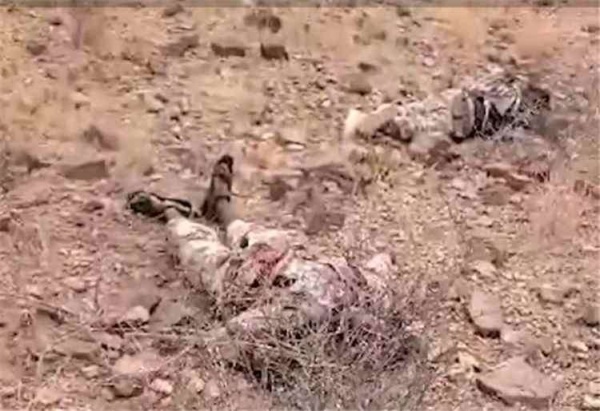 الإعلام العسكري العثور على جثث لعناصر من حركة الشباب الصومالية ضمن قتلى الحوثيين في الساحل الغربي