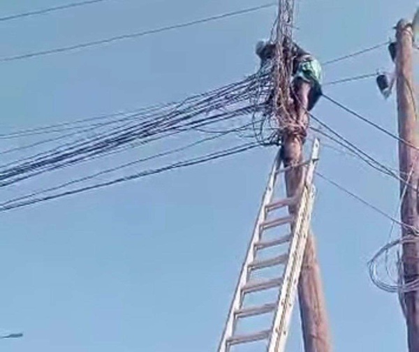 كهرباء أبين تواصل جهودها لتحسين الشبكة في مناطق مختلفة كهرباء أبين تواصل جهودها لتحسين الشبكة في مناطق مختلفة