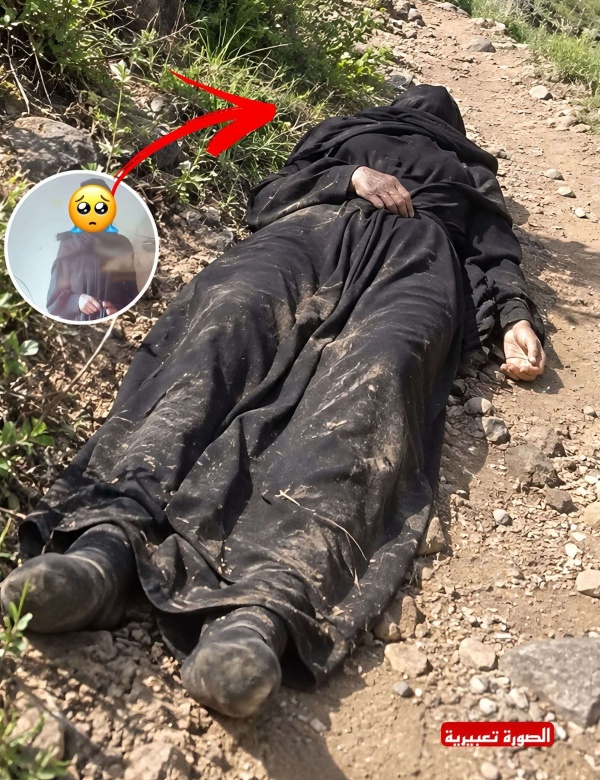 حادثة مؤلمة العثور على امرأة مفقودة بعد يومين وقد نهشتها حيوانات مفترسة