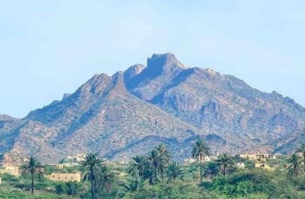 عاجل قبل سقوط الصبيحة مناشدة لتحريك الجبهات الأخرى وإرباك الحوثيين