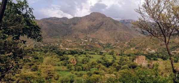هل تغيرت خارطة السيطرة في وادي الضباب تفاصيل الوضع الميداني وفق إفادات من الجبهة