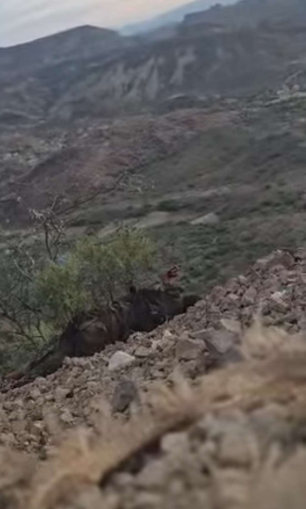 عاجل تطهير جبال كهبوب من الحوثيين وتقدم جديد يفتح الطريق نحو ذوباب والمخا عاجل تطهير جبال كهبوب من الحوثيين وتقدم جديد يفتح الطريق نحو ذوباب والمخا