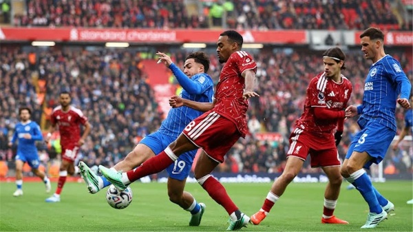 موعد مباراة ليفربول القادمة بعد الفوز على برايتون في الدوري الإنجليزي موعد مباراة ليفربول القادمة بعد الفوز على برايتون في الدوري الإنجليزي