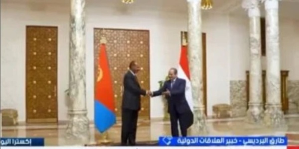 خبيرالعلاقات الدولية أمن البحر الأحمر والقرن الأفريقي ركيزة للأمن القومي المصري