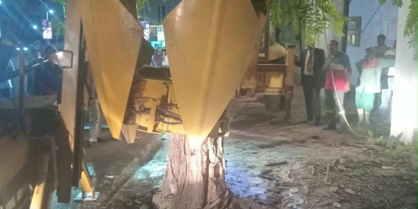 بعد سقوطها بشكل مفاجئ على عقار بمصر الجديدة وزيرة التنمية المحلية والبيئة تتابع مع محافظ القاهرة جهود نقل شجرة والاستعانة بأحدث الأجهزة والمعدات بالدولة ونقلها لمكان آخر