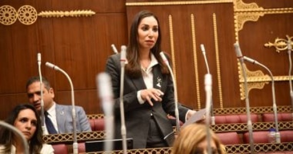 النائبة حنان وجدى توصى بعرض الاستثمارات الكلية متضمنة قيمة التغير فى المخزون