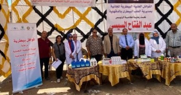 الهيئة القبطية الإنجيلية تنفذ قوافل بيطرية فى الدقهلية والشرقية والمنوفية الهيئة القبطية الإنجيلية تنفذ قوافل بيطرية فى الدقهلية والشرقية والمنوفية