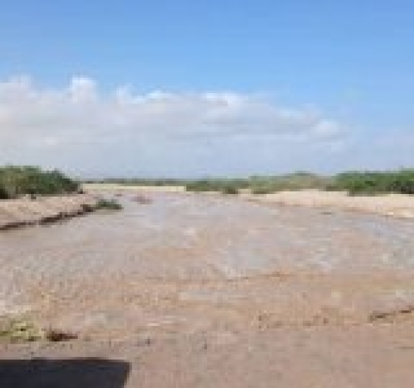 أمطار على أجزاء واسعة من الجمهورية اليمنية أمطار على أجزاء واسعة من الجمهورية اليمنية