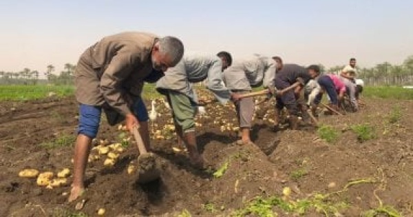 مركز تغير المناخ يطمئن المزارعين لا موجات حارة قاسية قريبا مركز تغير المناخ يطمئن المزارعين لا موجات حارة قاسية قريبا