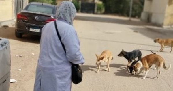 ضوابط وضعها قانون حيازة الحيوانات للترخيص والقيد بالسجل ضوابط وضعها قانون حيازة الحيوانات للترخيص والقيد بالسجل