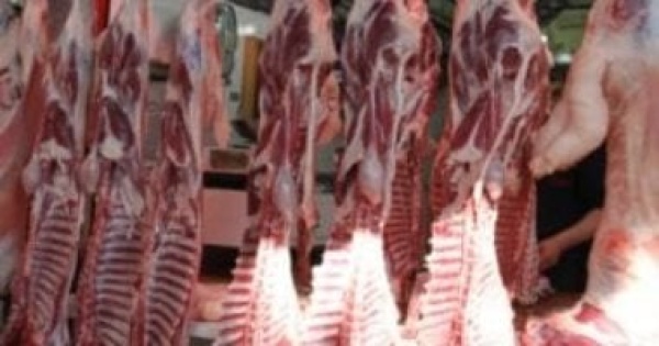 بورصة اللحوم اليوم الكندوز 450 جنيها واستقرار ملحوظ في أسعار الضأن والجملي بورصة اللحوم اليوم الكندوز 450 جنيها واستقرار ملحوظ في أسعار الضأن والجملي