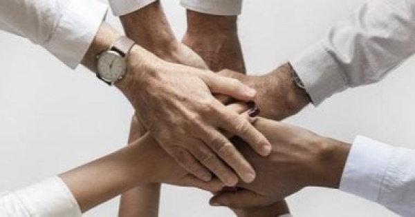 العمل الأهلى تحت مظلة القانون تعرف على أبرز الأنشطة الممنوعة