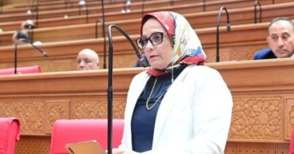 برلمانية إطلاق خدمتي اطمن رسالة واضحة بأن أمن أطفال مصر أولوية وطنية