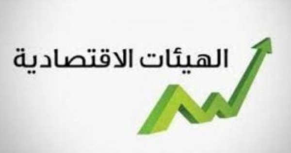 مخصصات هيئات لا تتضمنها الموازنة العامة للدولة الاقتصادية أبرزها