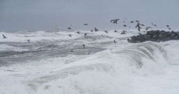 تفسير حلم البحر ماذا تعنى السباحة والنجاة والخوف من الأمواج تفسير حلم البحر ماذا تعنى السباحة والنجاة والخوف من الأمواج