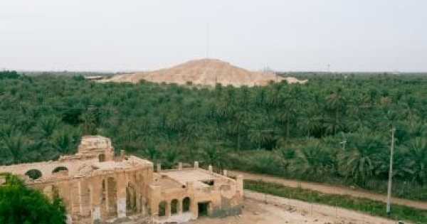 واحة الأحساء تبسط سلالها الغذائية الصيفية في الأسواق