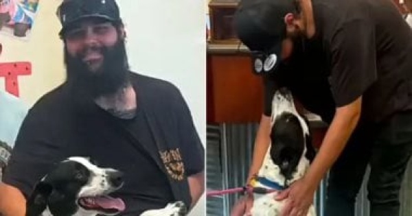 بعد 8 أشهر من الغياب صورة على فيسبوك تعيد كلب ا إلى صاحبه بعد 8 أشهر من الغياب صورة على فيسبوك تعيد كلب ا إلى صاحبه