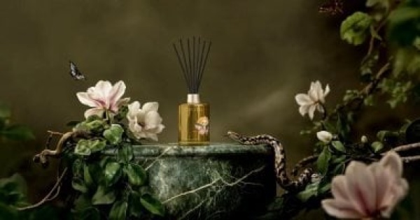 عطور الساحرات 3 روائح غريبة مستوحاة من الغابات والطقوس القديمة